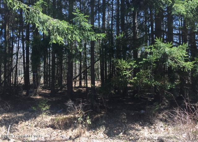 Lot A130 Bluebell Ln - Photo 1