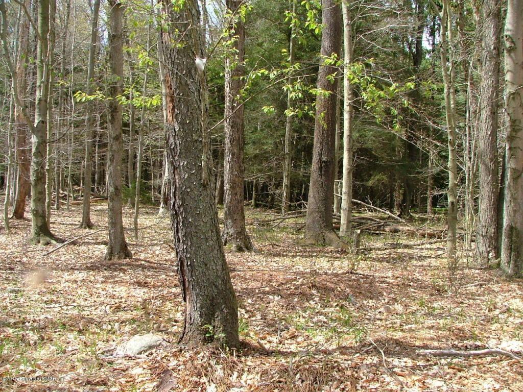 Robyn Ln - Photo 1