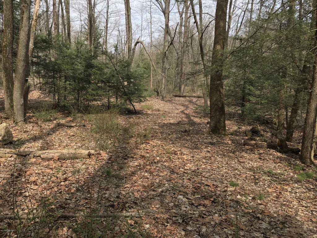 Lot#2 Little Gap Rd - Photo 1