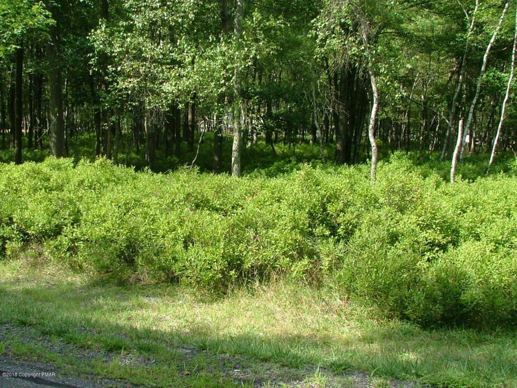 #35 Forest Hill Dr - Photo 1