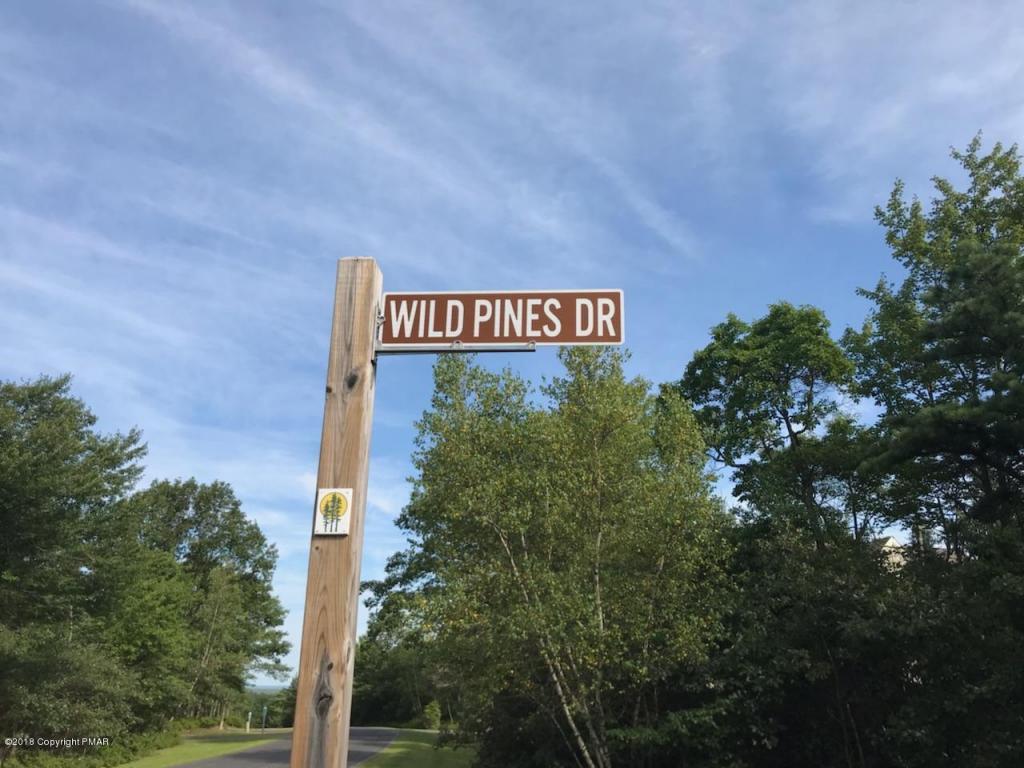 56 Rr Nn Wild Pines Drive - Photo 1