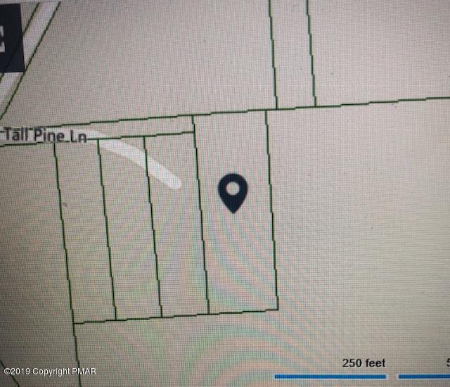 1.61 Acres Tall Pine Lane - Photo 1