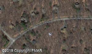 Pine Cone Rd - Photo 1