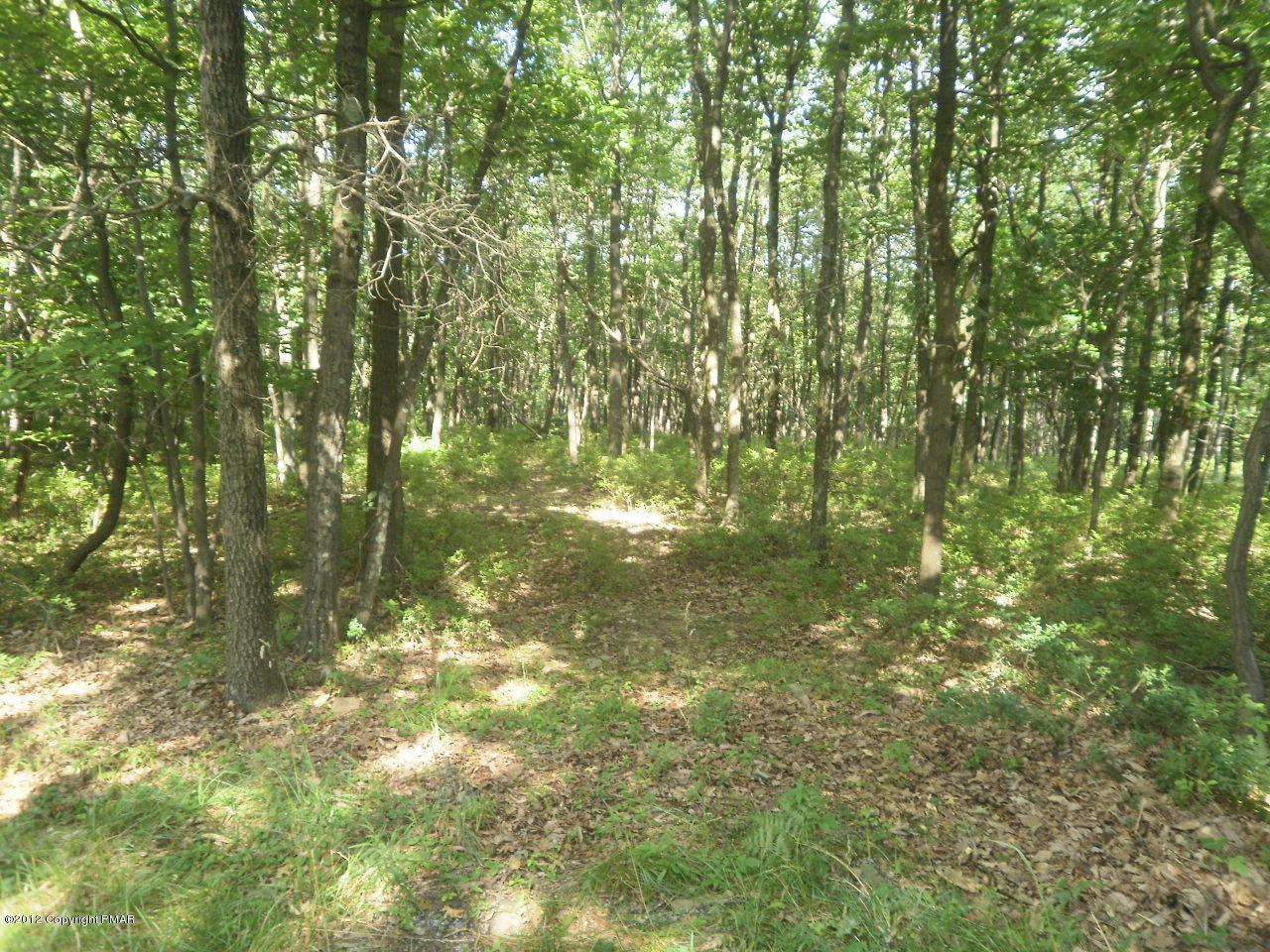 Lot 24 Stone Ridge Rd - Photo 1