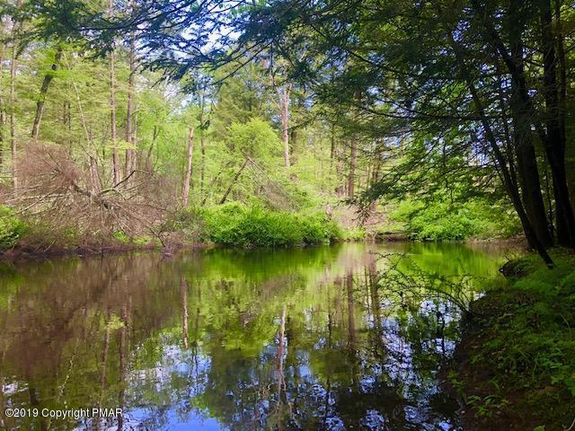 109 Snow Hill Falls Rd - Photo 1