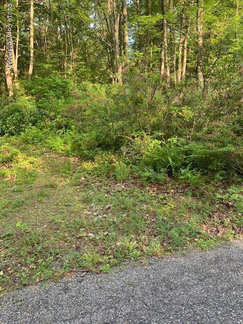 Lot 3 Rhododendron Rd - Photo 1