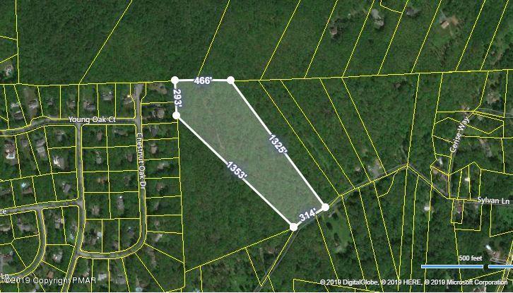 Sylvan Ln - Photo 1
