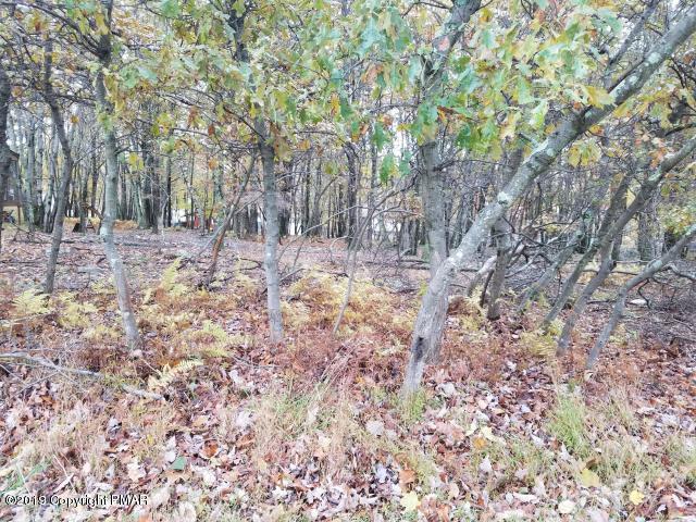 LOT 146 Bear Dr - Photo 1 LOT 146 Bear Dr - Photo 1