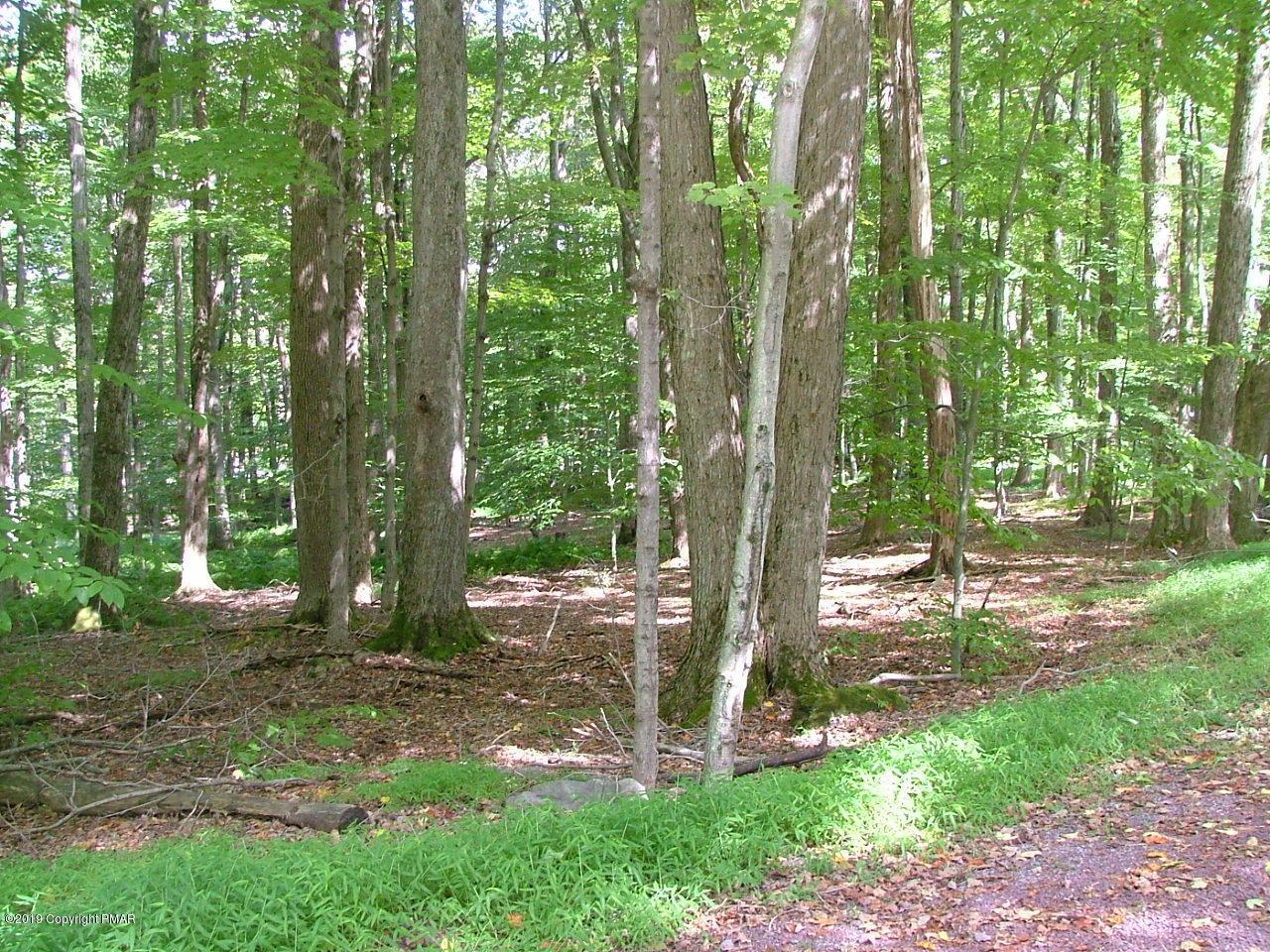 Fawn Rd - Photo 1