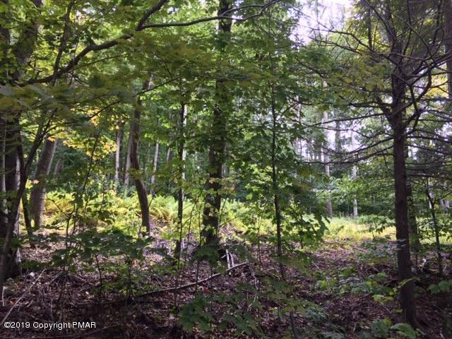 Lot 8 Rt 507 - Photo 1