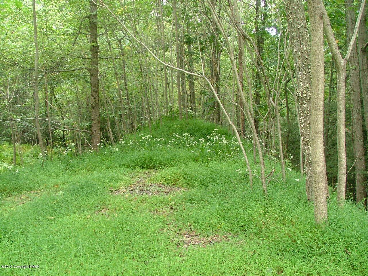 9 Spruce Drive - Photo 1