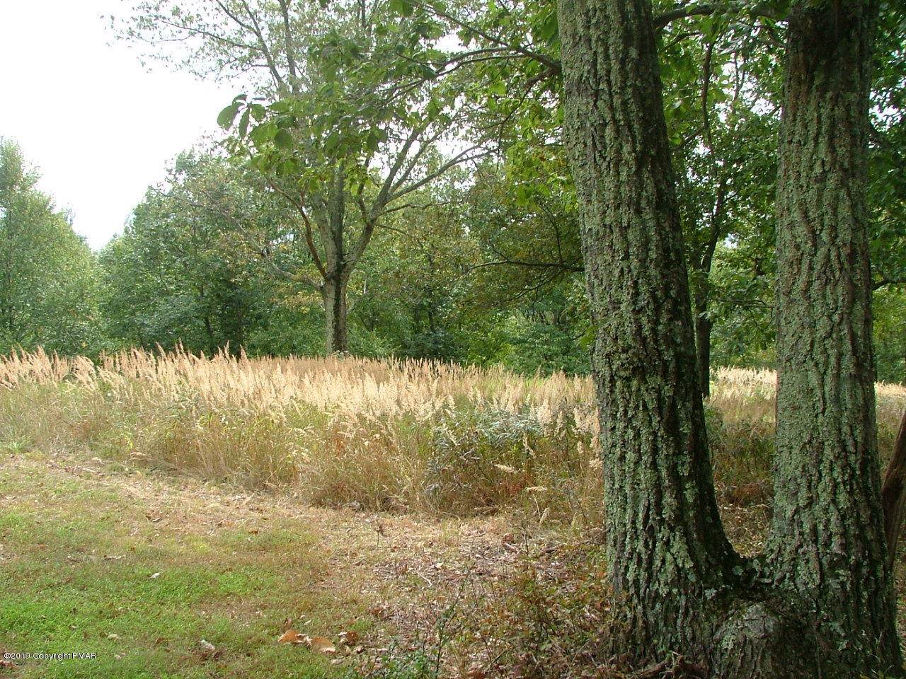66 Laurel Loop - Photo 1