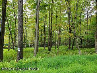 28 Oak Leaf Ln - Photo 1