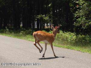 E448 Fawn Rd - Photo 1