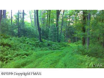 Sullivan Trail - Photo 1