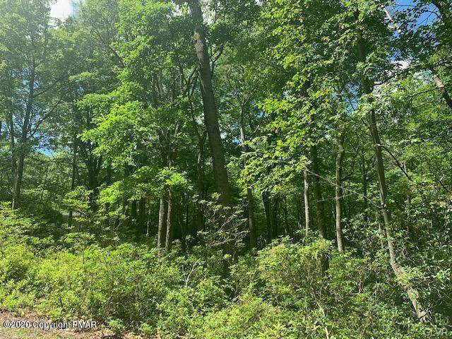 Sugar Mountain Rd - Photo 1