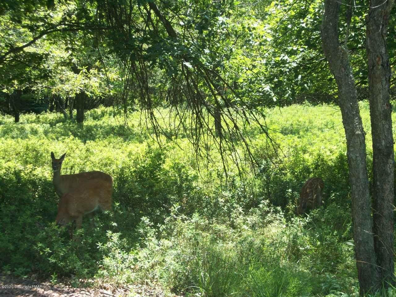EV1645 Maccauley Road And Cummings La - Photo 1