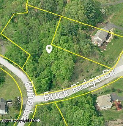 511 Buck Ridge - Photo 1