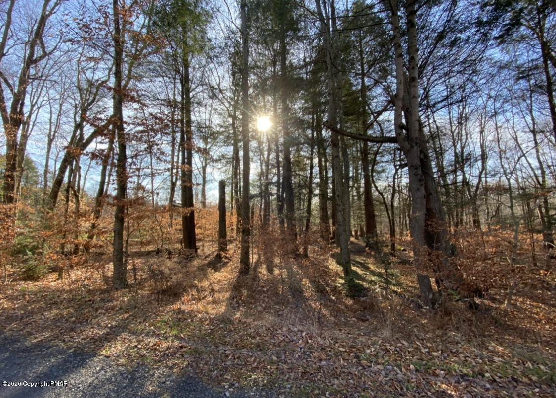 10 Driftwood Road - Photo 1