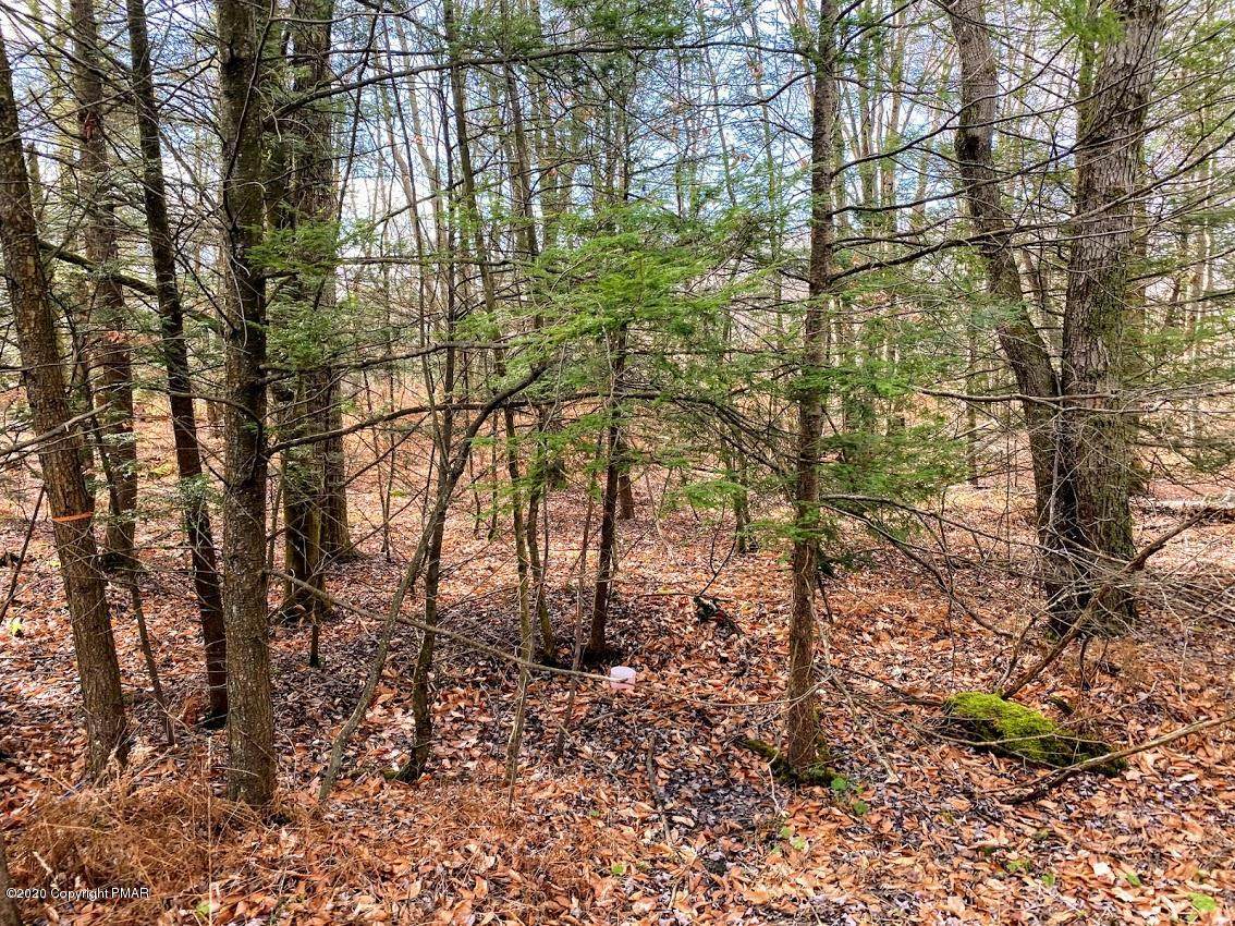 11 Driftwood Road - Photo 1