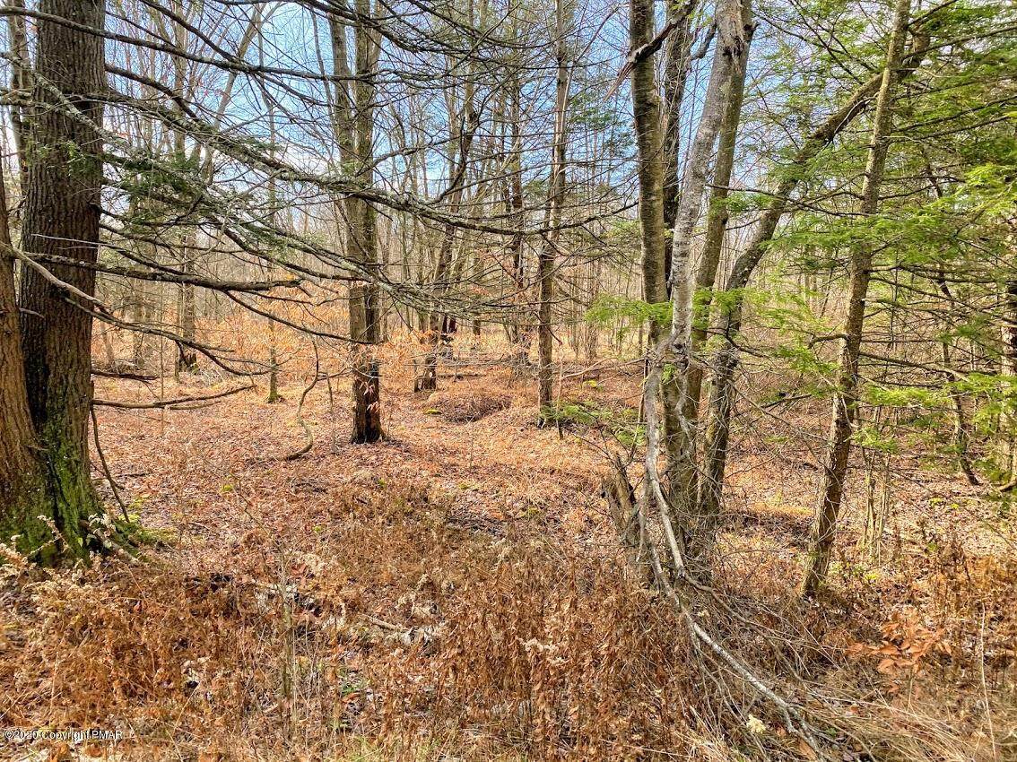 12 Driftwood Road - Photo 1