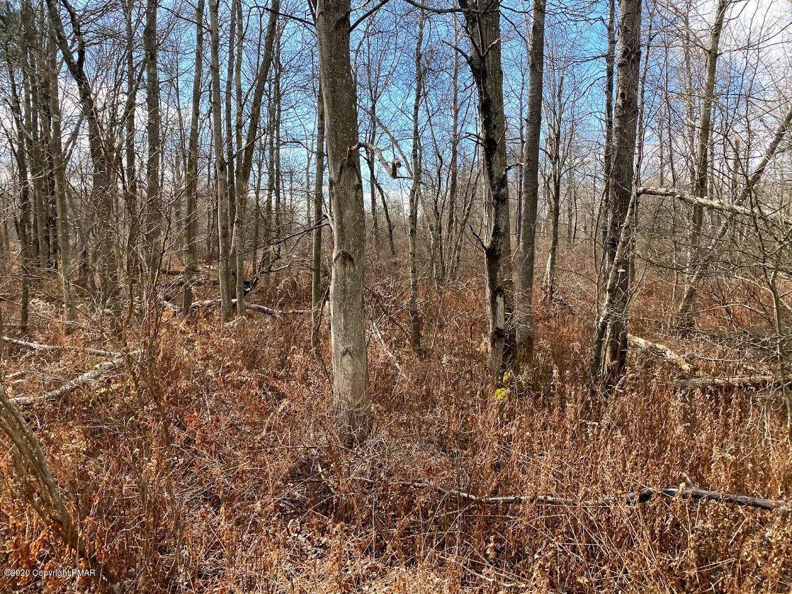14 Driftwood Road - Photo 1