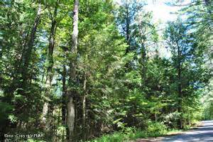 Kings Pond Rd/T 524 #1 - Photo 1