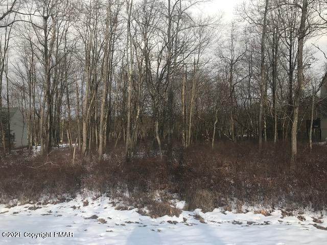 67 Pine Needle Rd - Photo 1