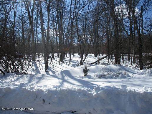 Bluebird Lane - Photo 1
