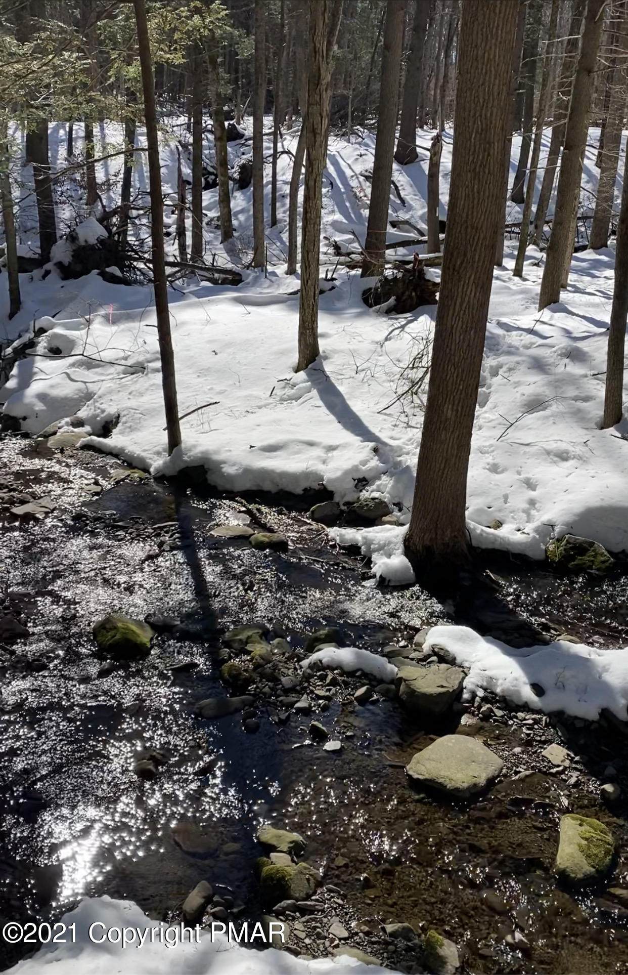 Lot 677 Raccoon Ct - Photo 1