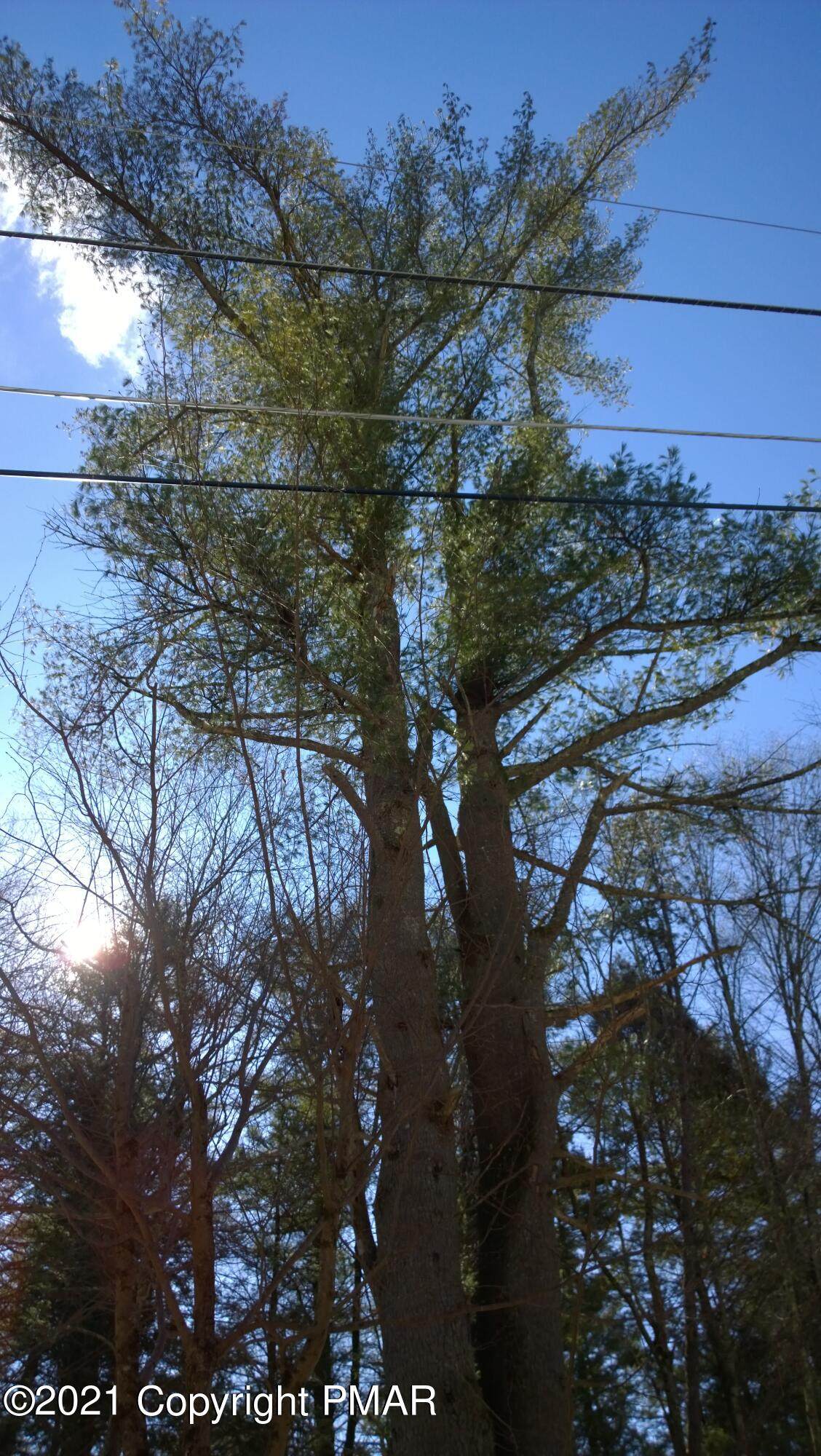 Lot 675 Raccoon Ct - Photo 1