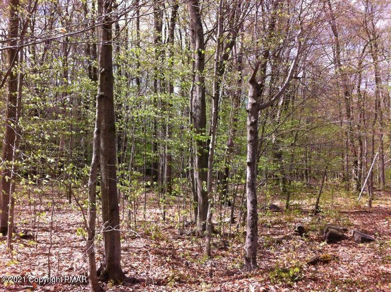 1814 Elk Run Rd - Photo 1