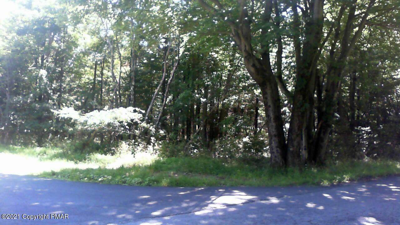 Crazy Horse Trail & Piute Trl - Photo 1