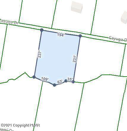 A128 Cayuga Dr - Photo 1