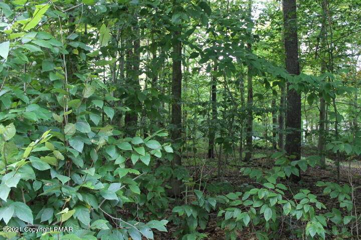 5-2110-21 Winona Dr - Photo 1