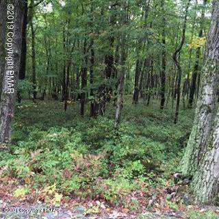 Turkey Foot Trail - Photo 1