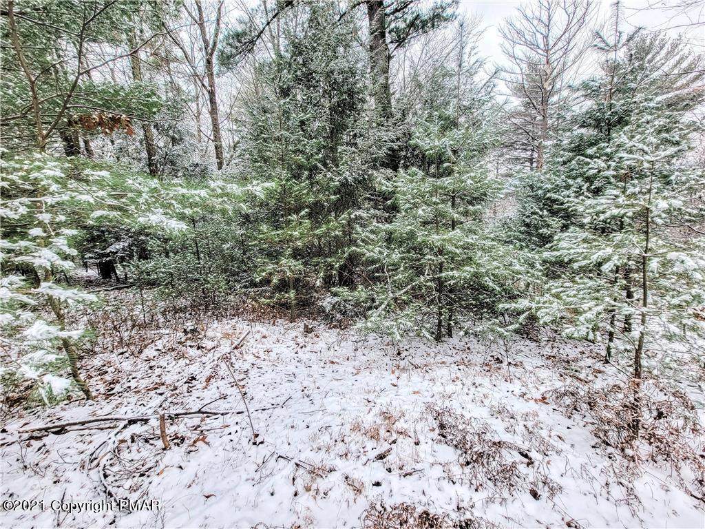 1020 Green St - Photo 1