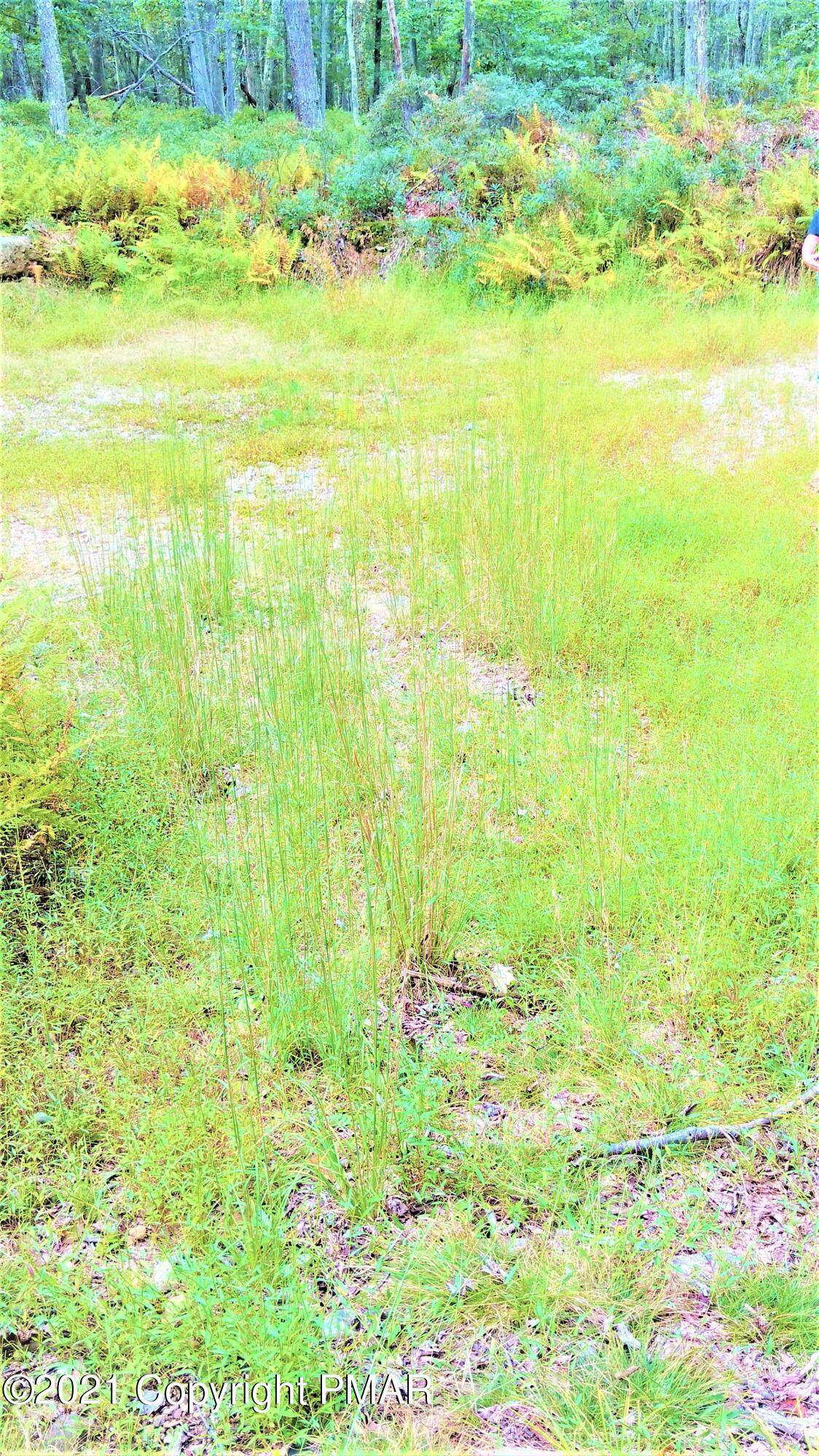 Lot 5 / 3 Summit Dr - Photo 1
