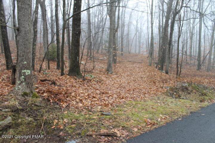 2011 Little Billy Ln - Photo 1