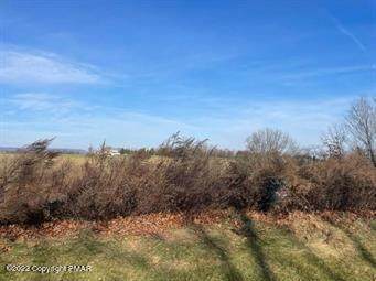 67 Shepherds Hill Dr - Photo 1