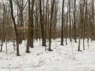 811 Maple Drive - Photo 1