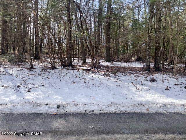 Turkey Ridge Drive 75 - Photo 1