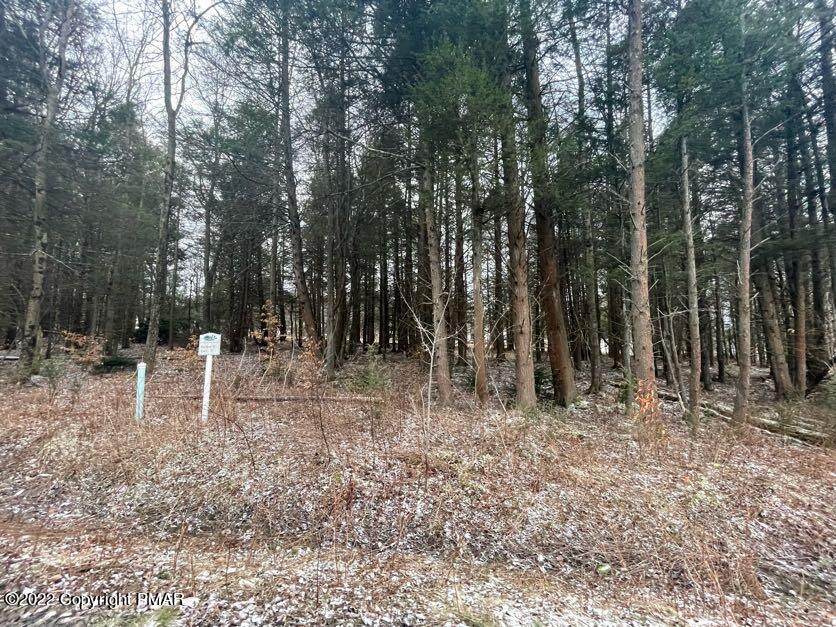 7 Spruce Road - Photo 1