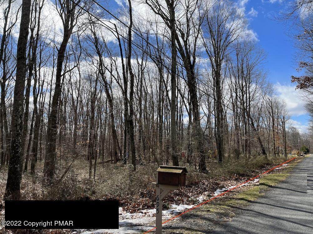 Pohopoco Cir - Photo 1