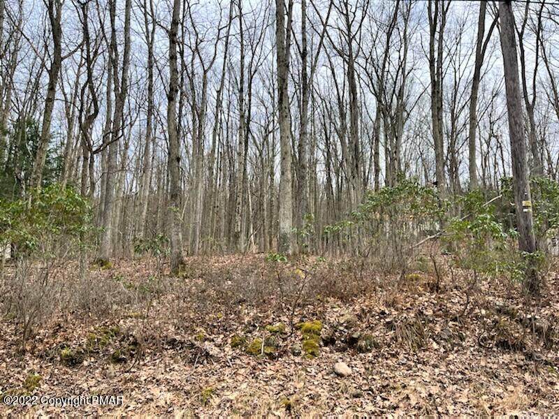 1240 Woodhaven Dr - Photo 1