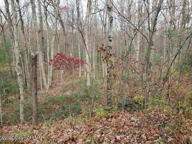 80 Woods Crsg - Photo 1