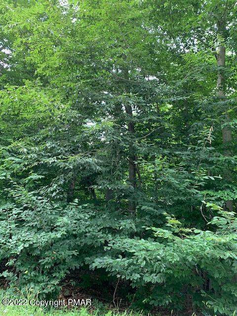 lot 1781 Cayuga Dr - Photo 1