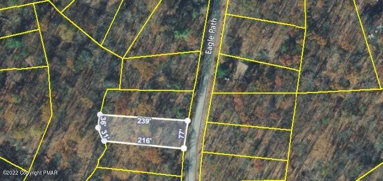 29 Eagle Path - Photo 1