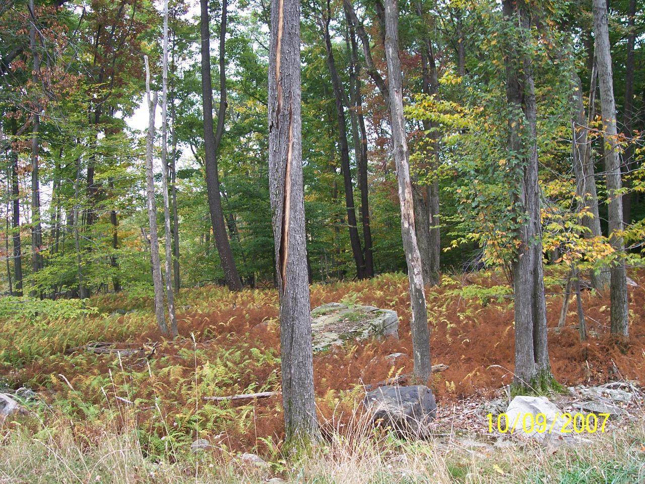 Noah Ct #13 - Photo 1
