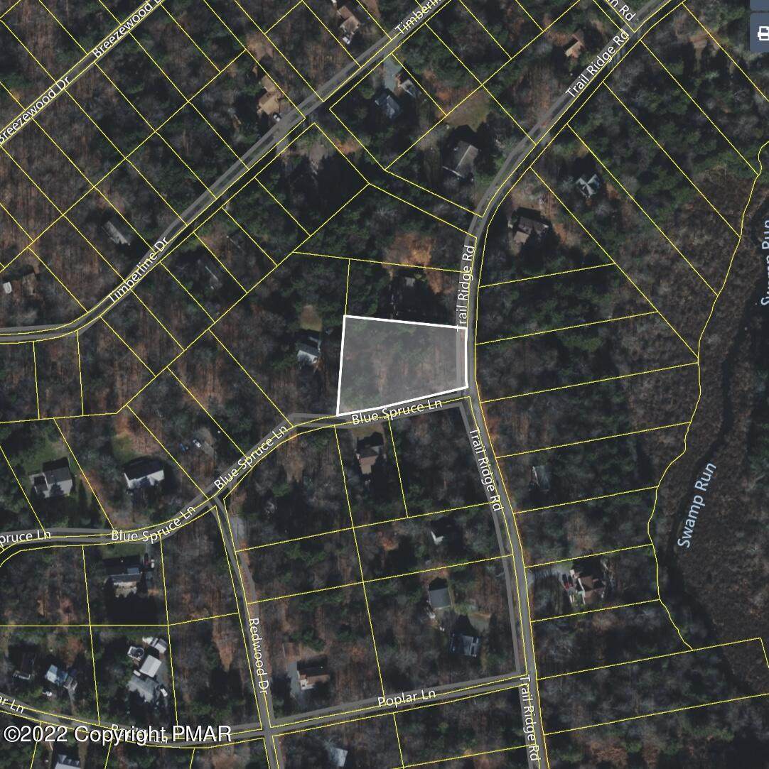 E12TR Blue Spruce Road & Trail Ridge Rd - Photo 1